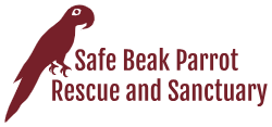 Safe Beak Parrot Rescue and Sanctuary